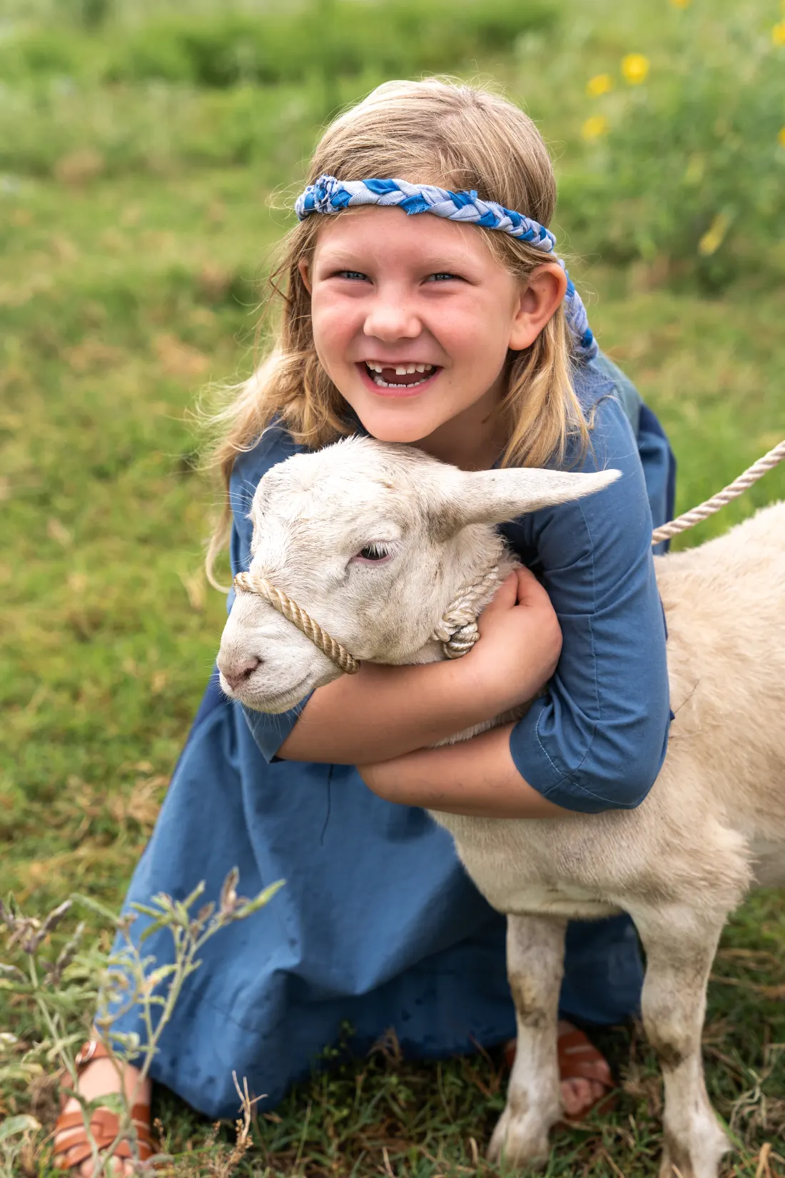 Smiling child gently hugs a sheep during an outdoor live animal experience.